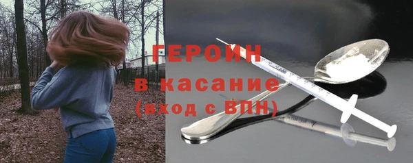 гашик Алексин