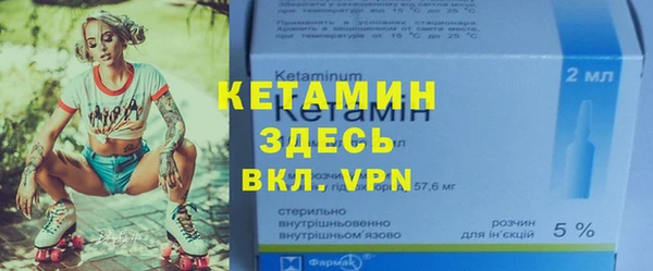 гашик Алексин