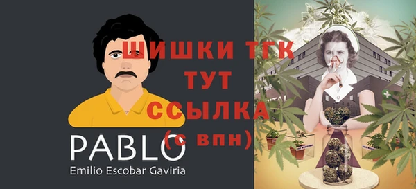 гашик Алексин