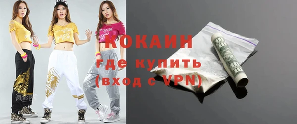 гашик Алексин