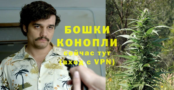 PSILOCYBIN Алзамай