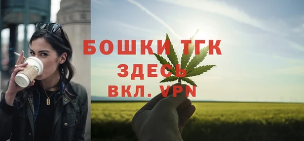 гашик Алексин