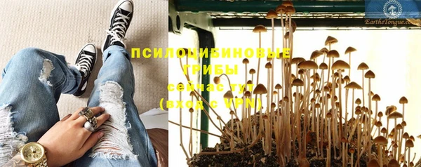 гашик Алексеевка