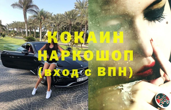 гашик Алексин