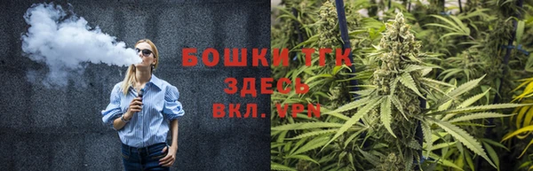 PSILOCYBIN Алзамай