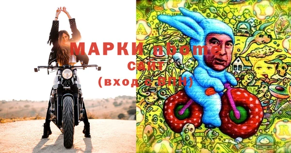 PSILOCYBIN Алзамай